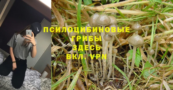 шишки Протвино