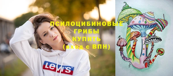 дурь Приозерск