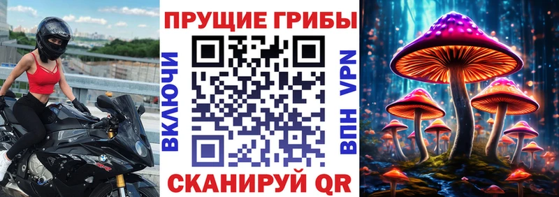 Галлюциногенные грибы Magic Shrooms  продажа наркотиков  Белозерск 